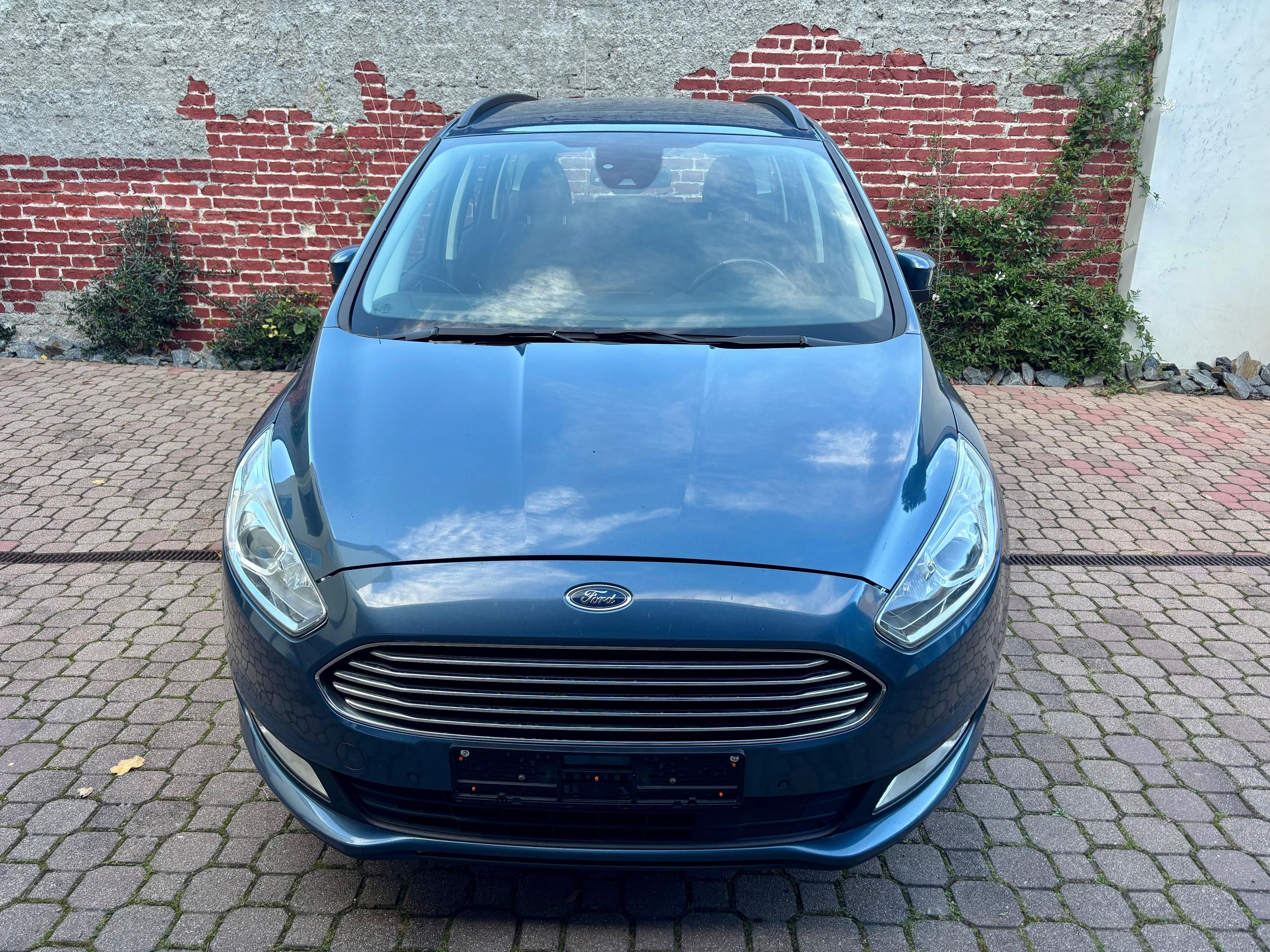 Ford Galaxy, 2.0 TDCi, 2019, AUT, Titanium - fotka 2