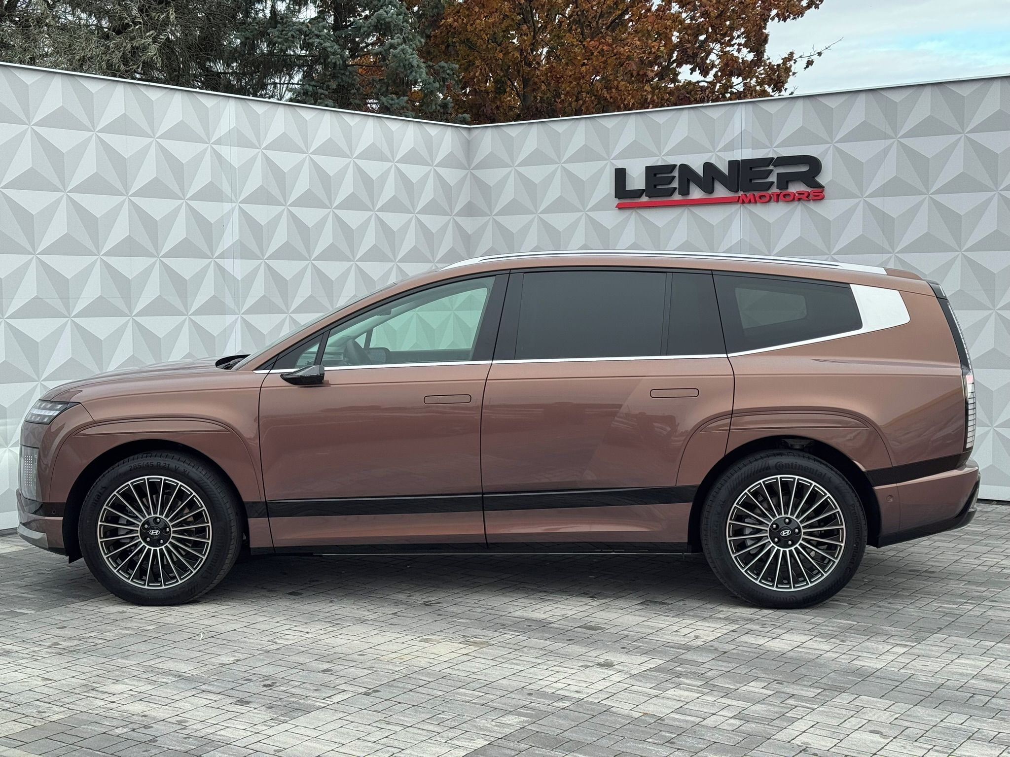 Hyundai Ioniq 9, 110 kW CALLIG RELAX DSM - fotka 3