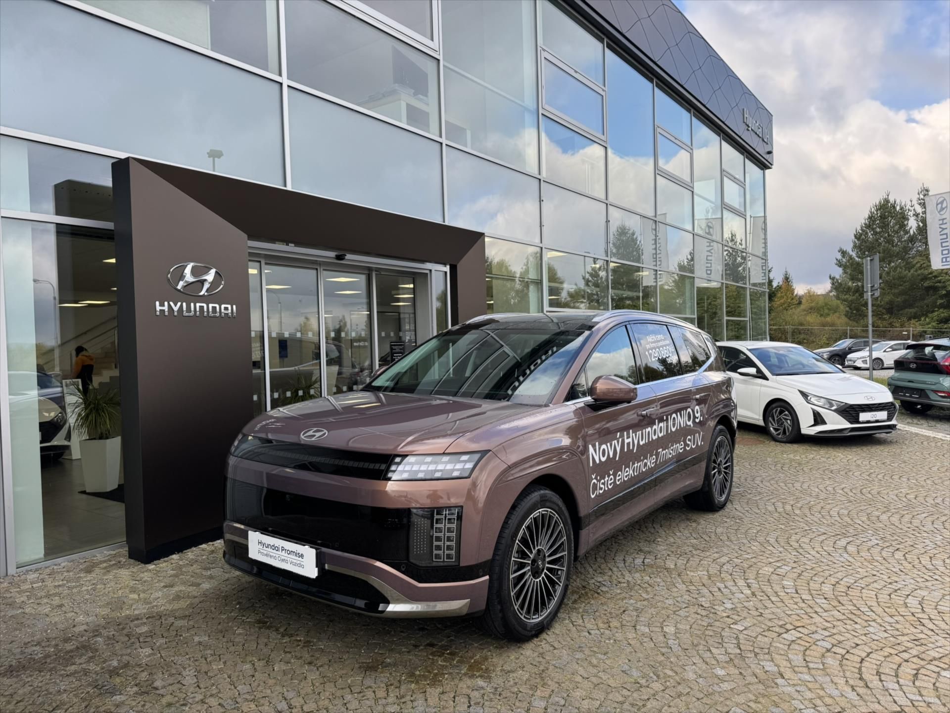 Hyundai Ioniq 9, W7 4WD PERF 110 KW CALLIGR - fotka 3