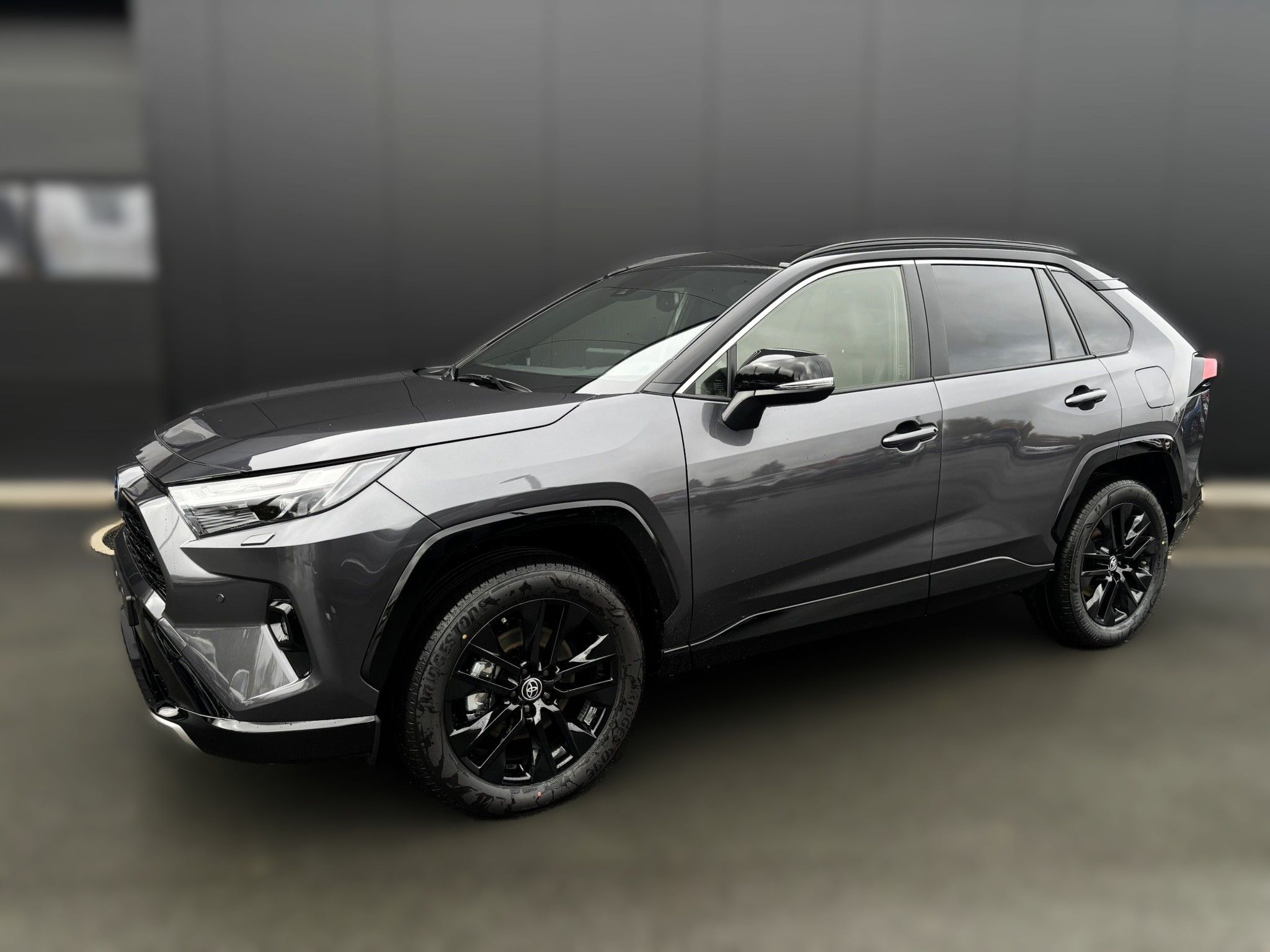Toyota Rav4, Selection            RAV4 NG19