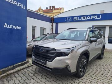 Active -110.000 Kč