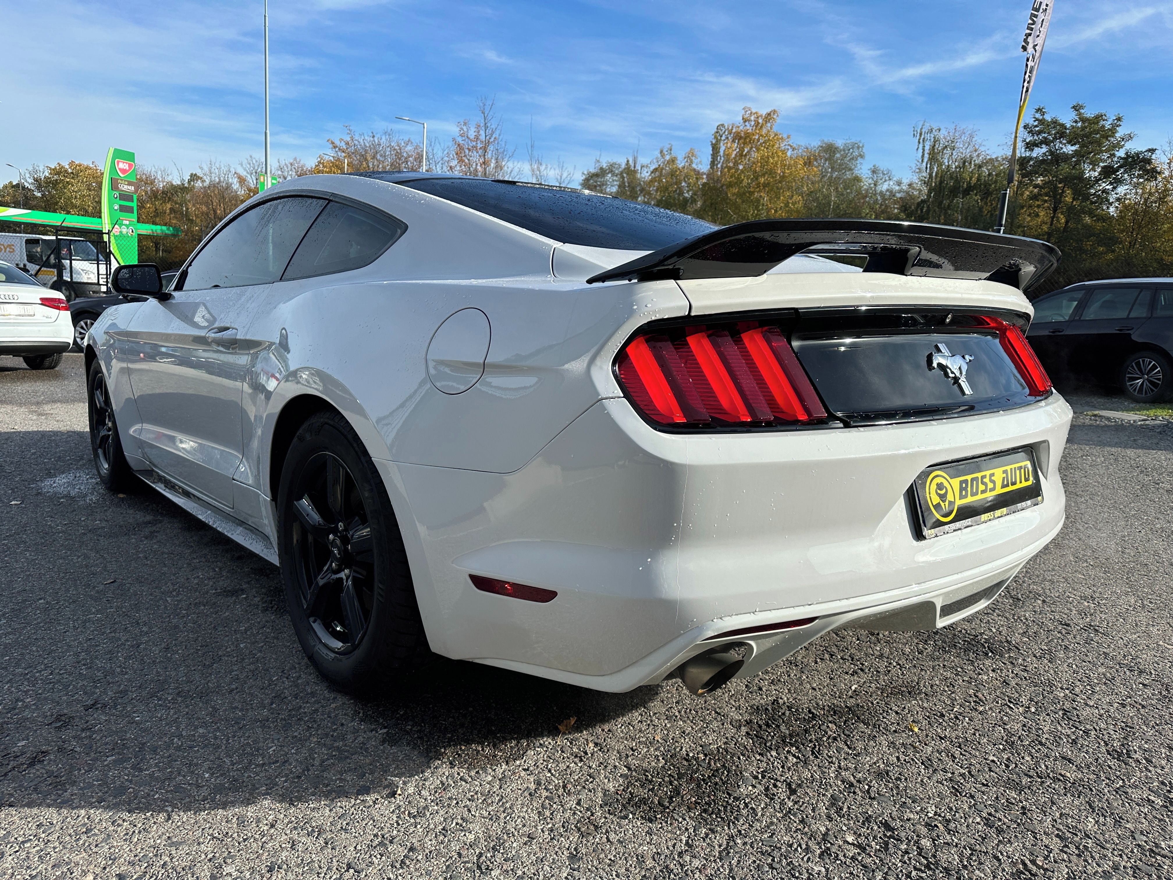 Ford Mustang, Ford Mustang 2015 - fotka 4