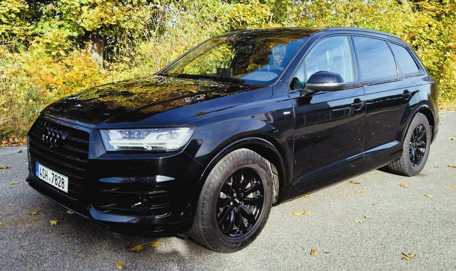 Audi Q7, 3.0TDI 230kw S-line,7míst,Taž