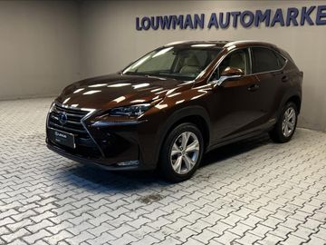 2,5 LUXURY