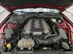 Ford Mustang, GT 5.0/310kW 6MP - Kabriolet T