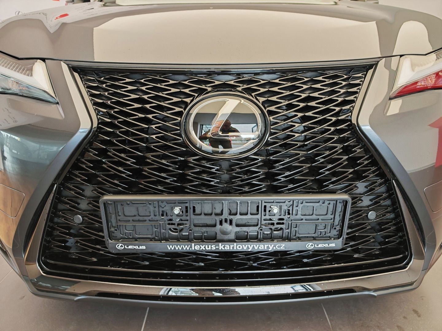 Lexus UX 300h, 300h 4x2 F Sport Design - fotka 4