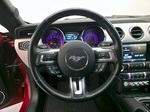 Ford Mustang, GT 5.0/310kW 6MP - Kabriolet T