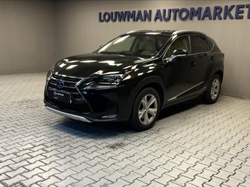 2,5 LUXURY