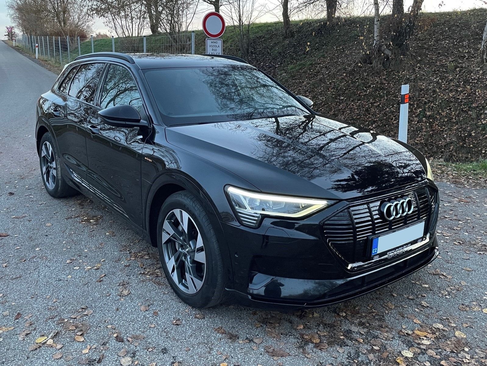Audi e-tron, Quattro 50 230 kW 2020 DPH - fotka 5