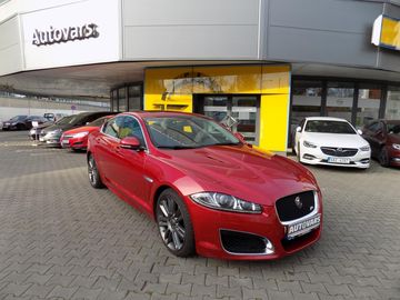5.0 V8 R