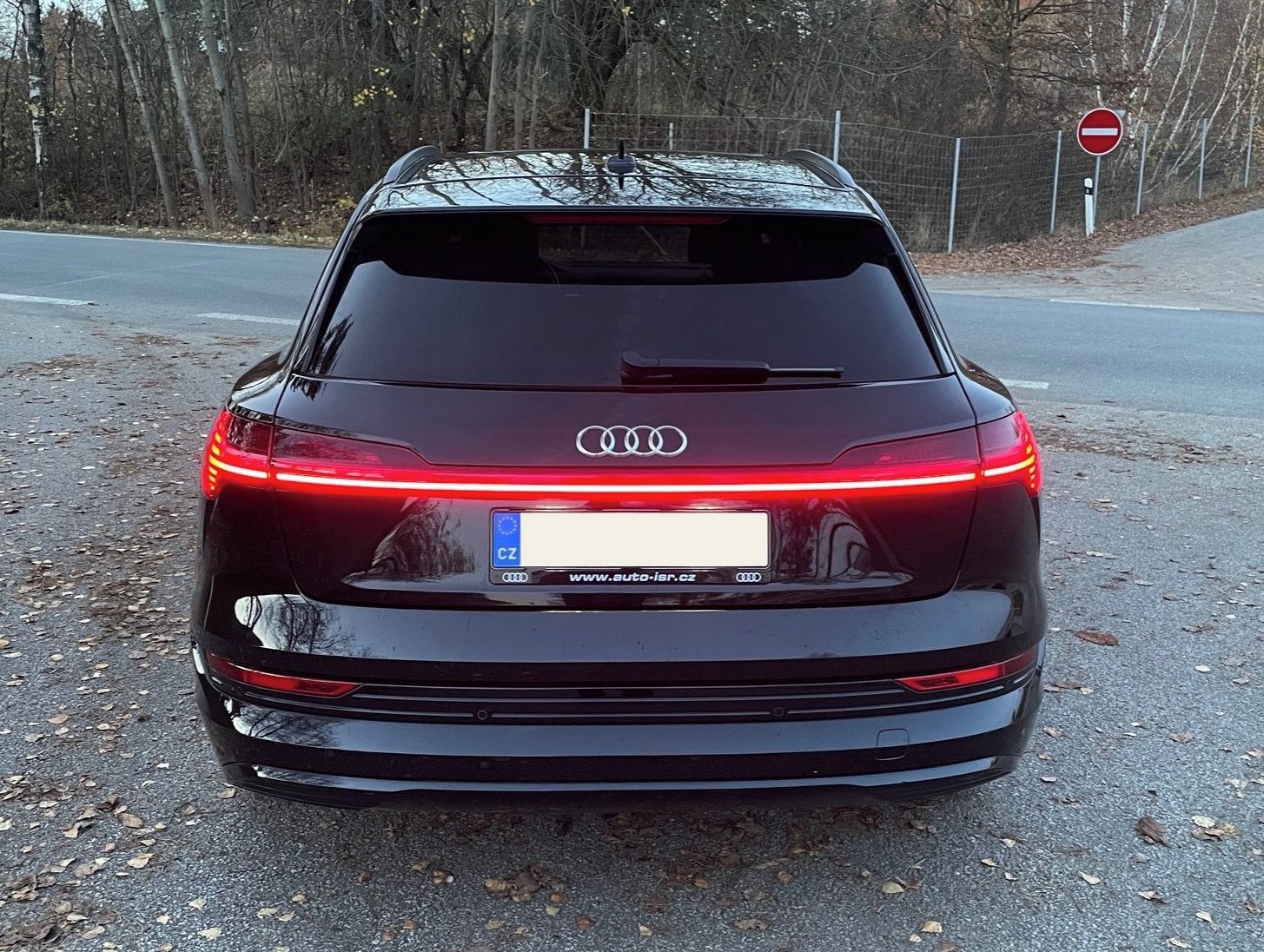 Audi e-tron, Quattro 50 230 kW 2020 DPH - fotka 3