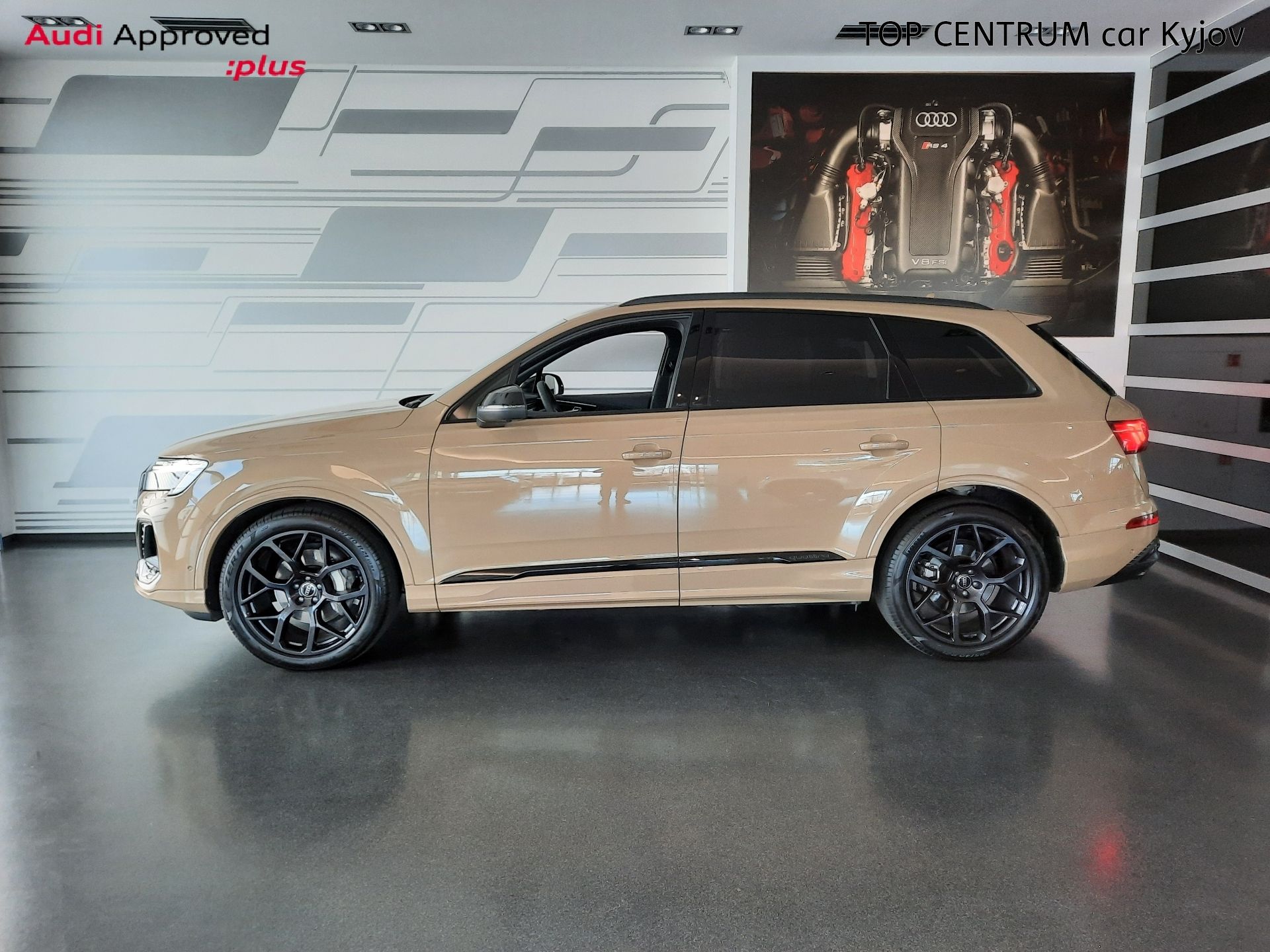 Audi Q7, 50 TDI quattro (210kW/285k) Ti - fotka 3