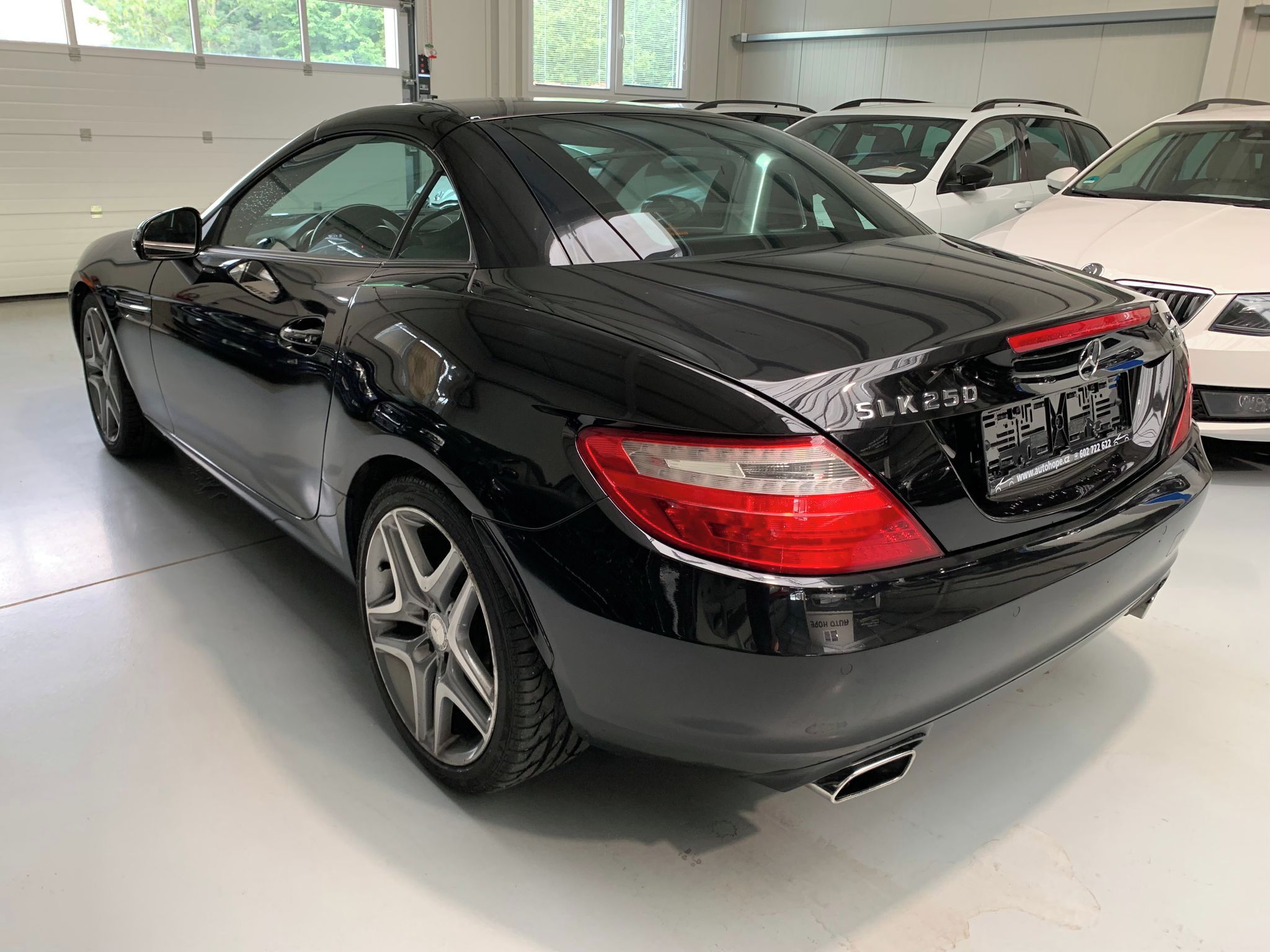 Mercedes-Benz SLK, 250 CDI - fotka 4