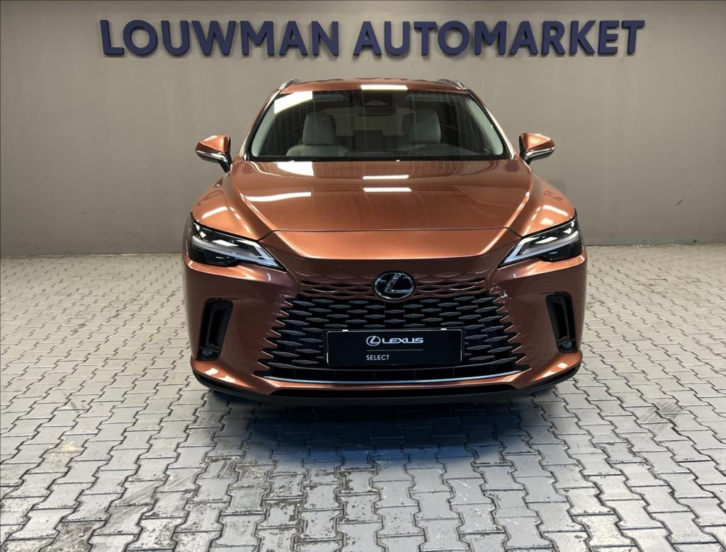 Lexus RX 450h+, 2,5 PHEV EXECUTIVE - fotka 4