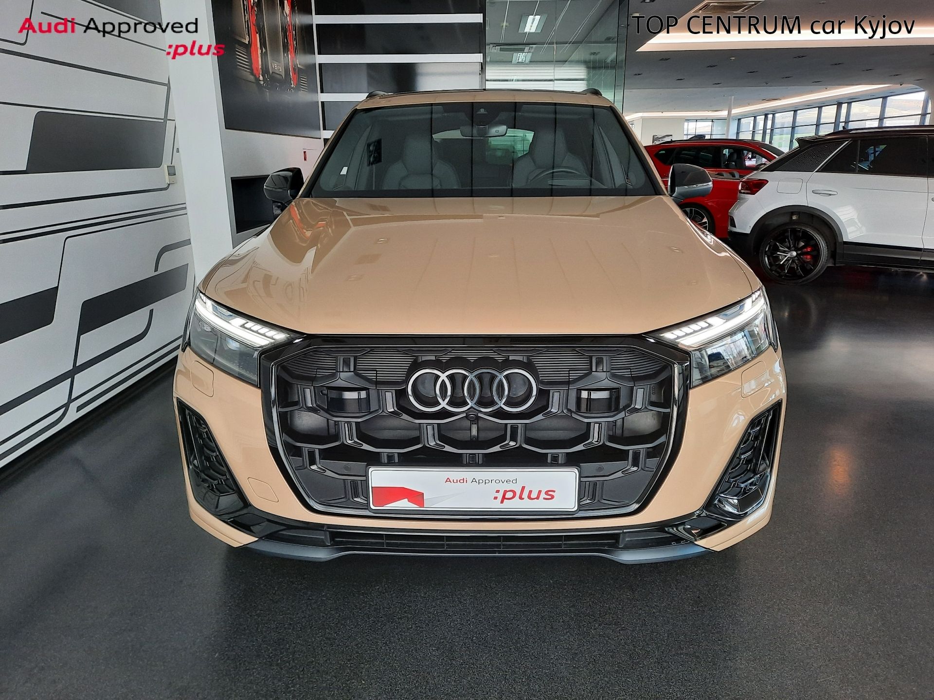 Audi Q7, 50 TDI quattro (210kW/285k) Ti - fotka 4