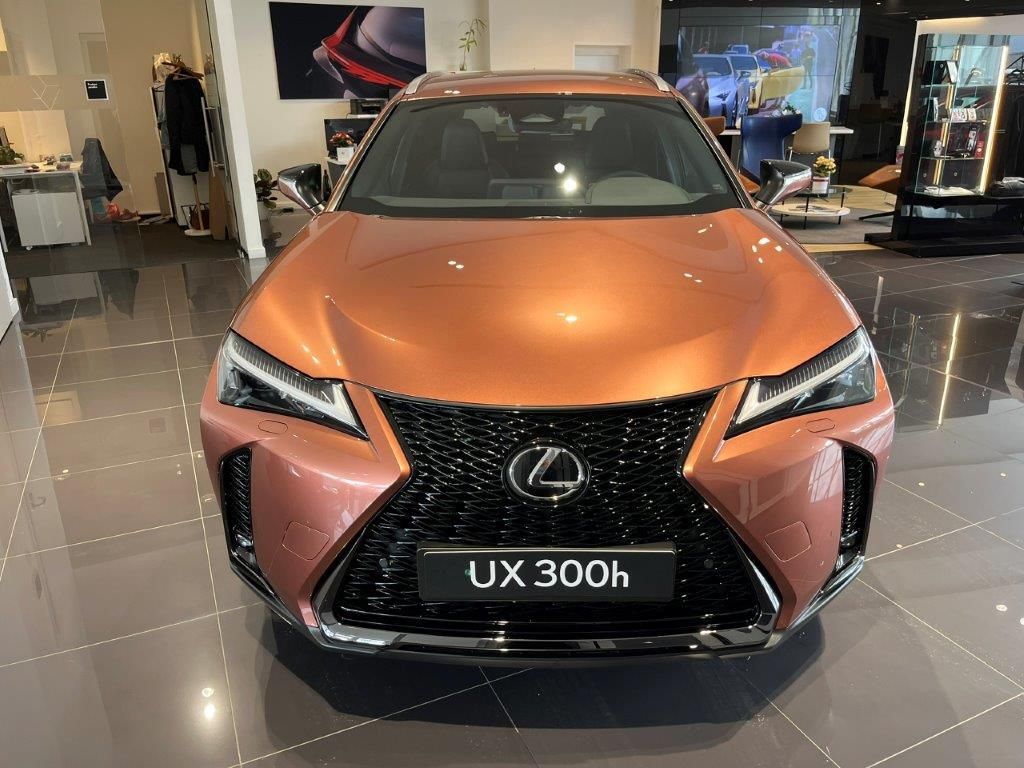 Lexus UX 300h, F SPORT DESIGN - fotka 2