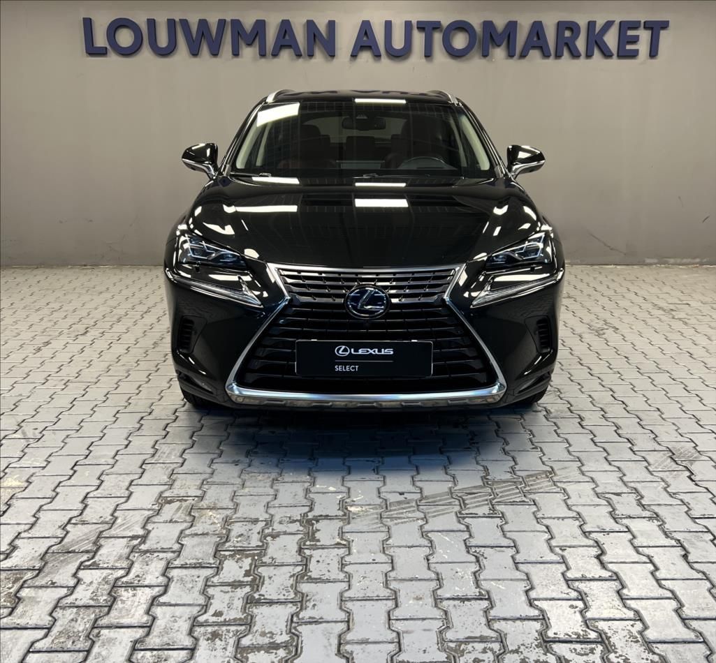 Lexus NX 300h, 300H 2,5 HEV LUXURY - fotka 4