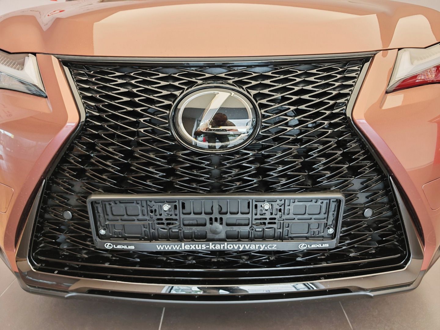 Lexus UX 300h, F Sport Design 300H - fotka 4