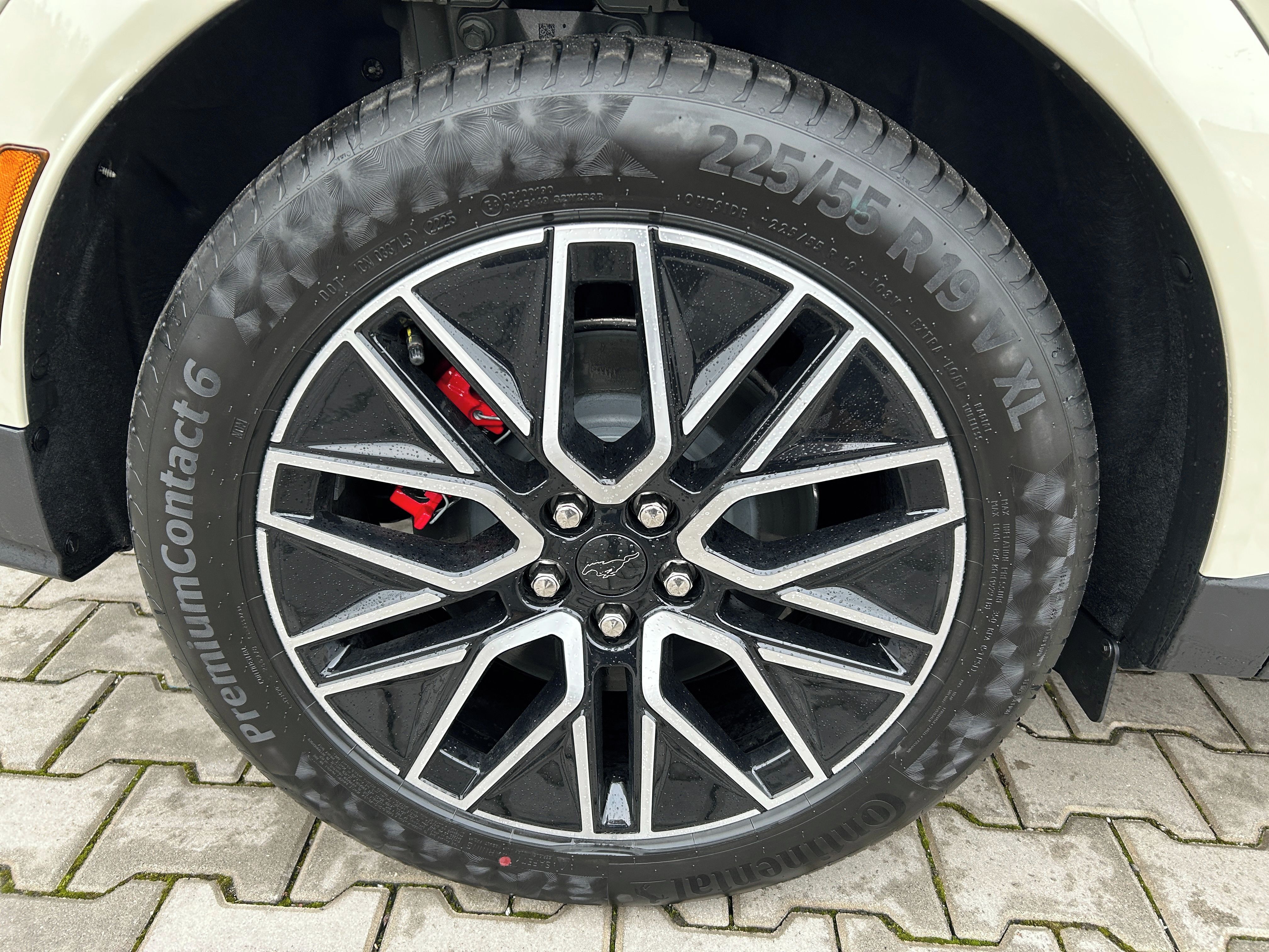Ford Mustang Mach-E, Premium 88 kWh (203 kW/276 k) - fotka 6