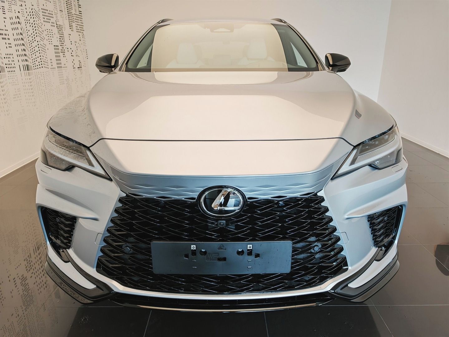 Lexus RX, 500h F Sport Special Edition - fotka 2