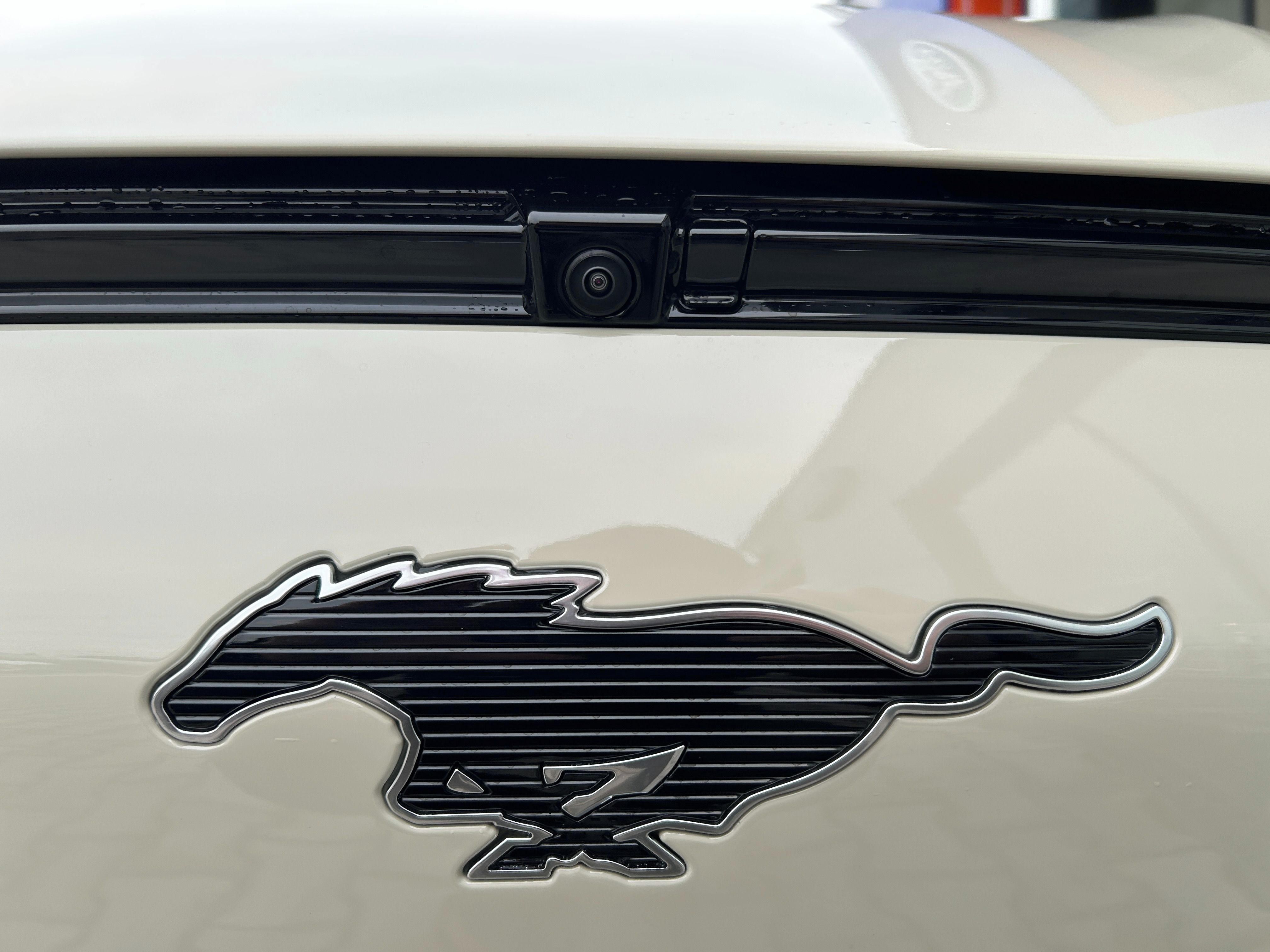 Ford Mustang Mach-E, Premium 88 kWh (203 kW/276 k) - fotka 3