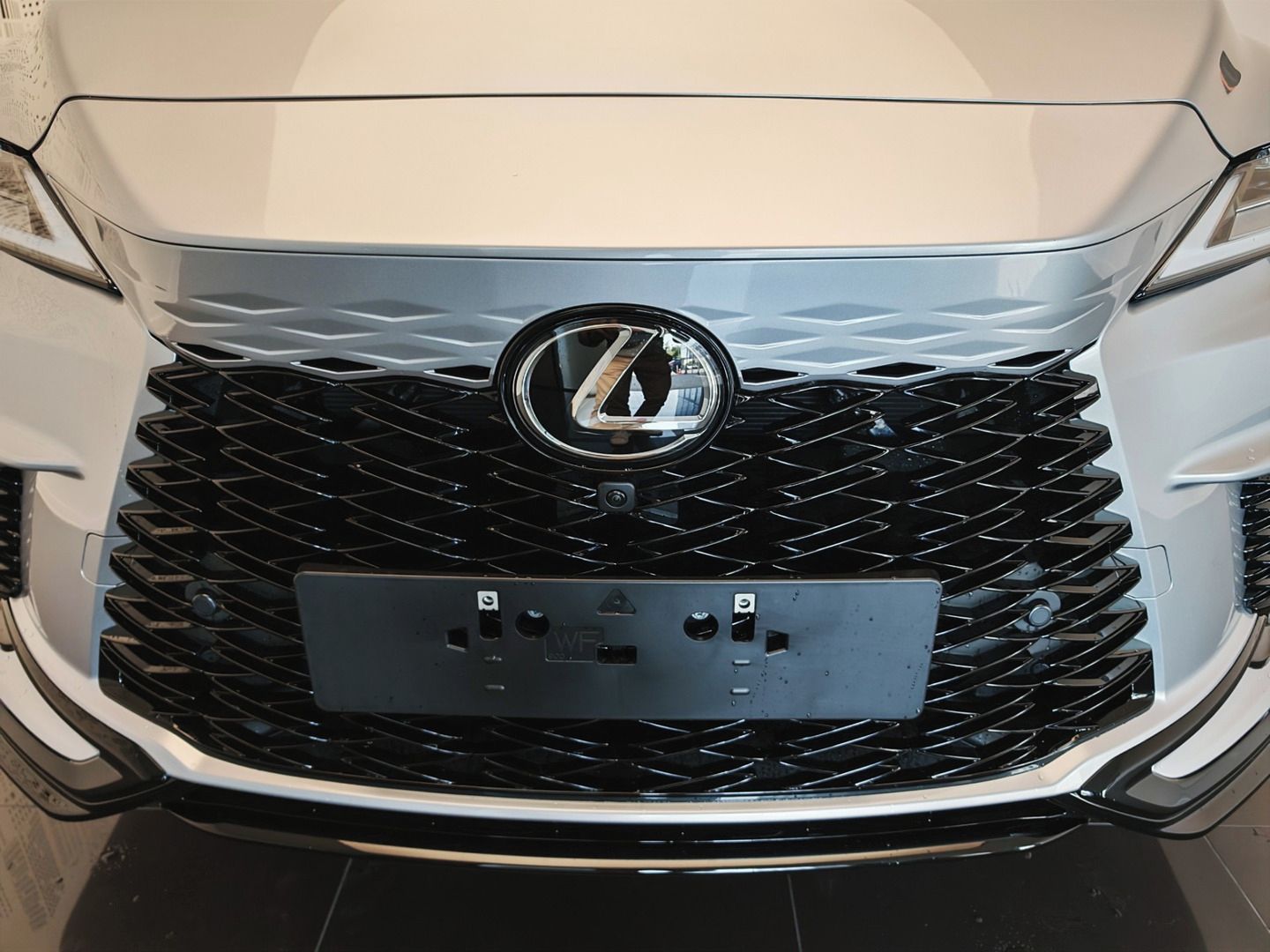 Lexus RX, 500h F Sport Special Edition - fotka 4