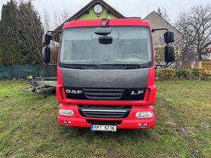 DAF LF, DAF LF 45.250 nosič kontejnern
