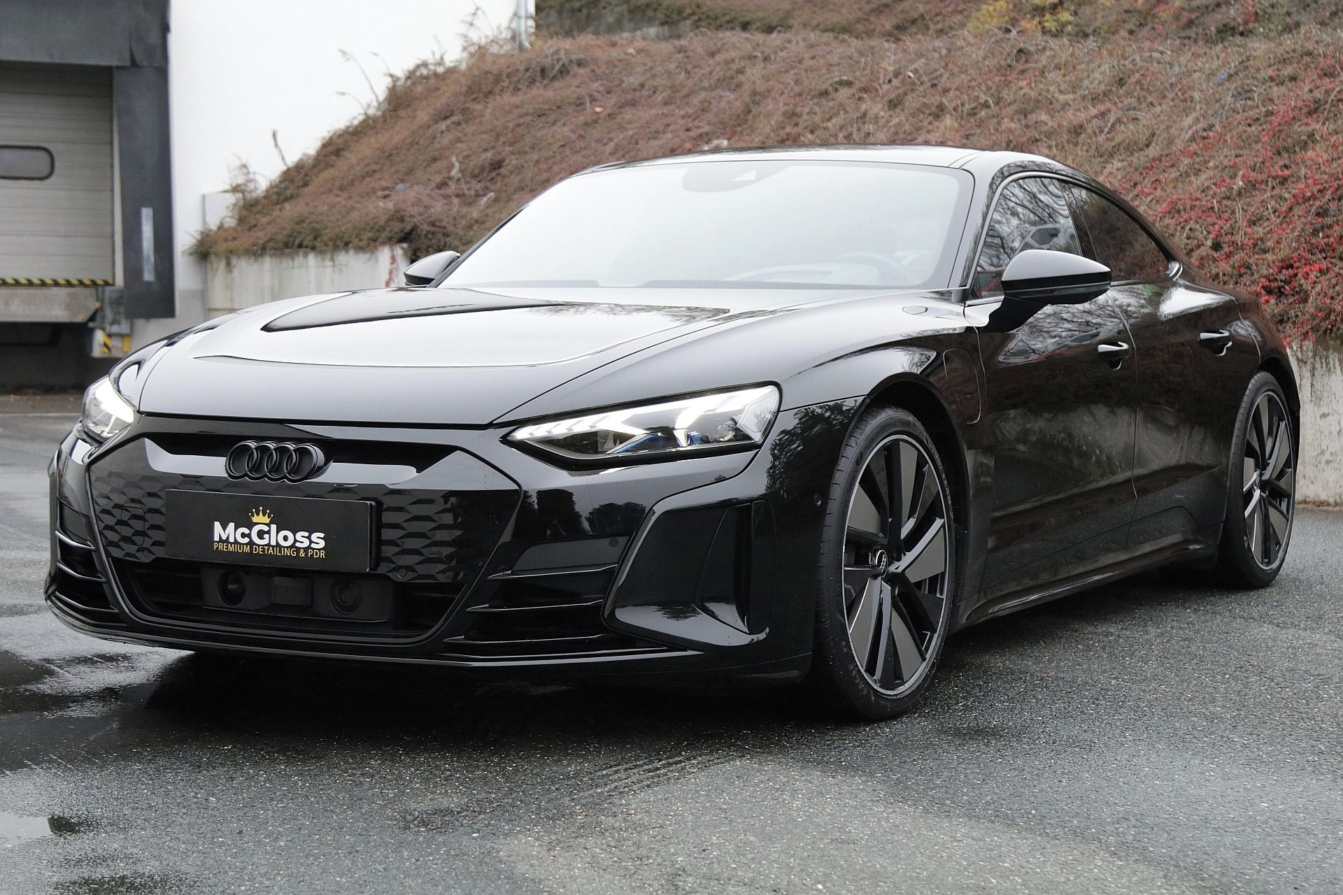 Audi e-tron GT, TovZár/Laser/Nappa/B&O/3Dkam - fotka 2