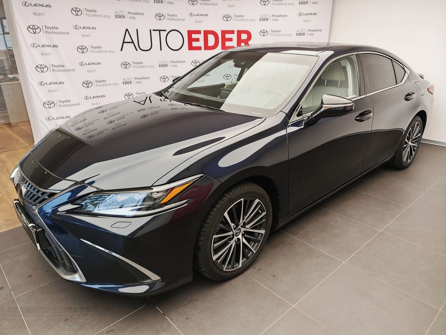 Lexus ES 300h, LEXUS ES 300h Prestige Plus