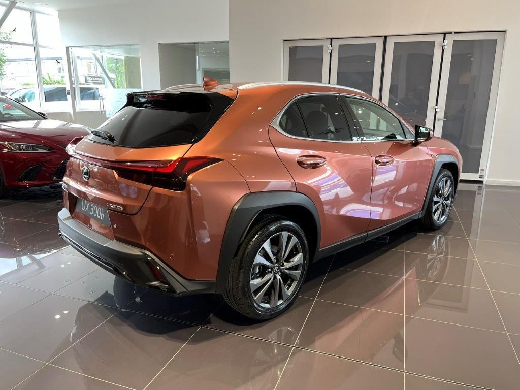 Lexus UX 300h, F SPORT DESIGN - fotka 6
