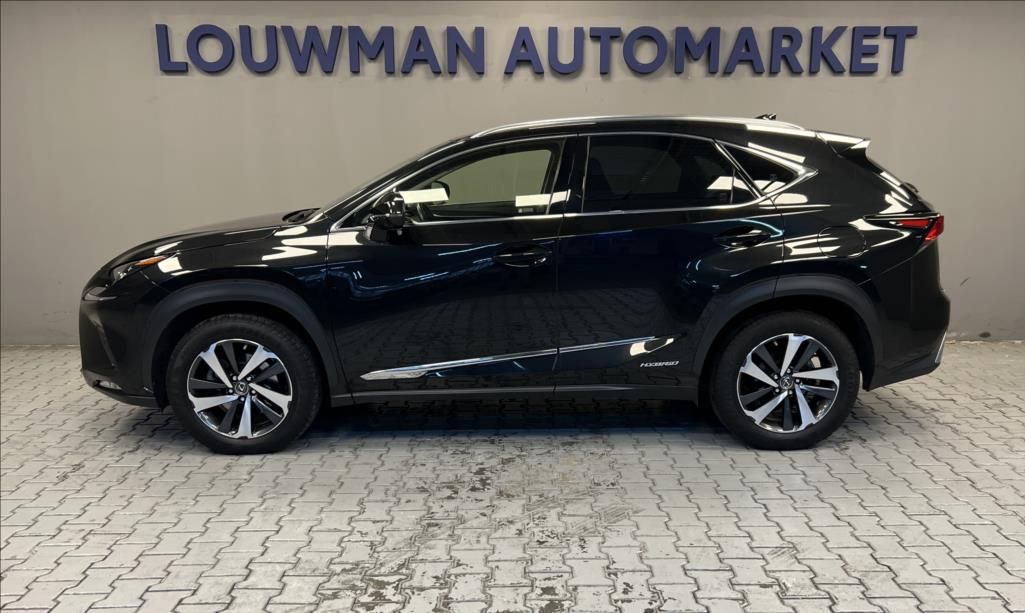Lexus NX 300h, 300H 2,5 HEV LUXURY - fotka 3