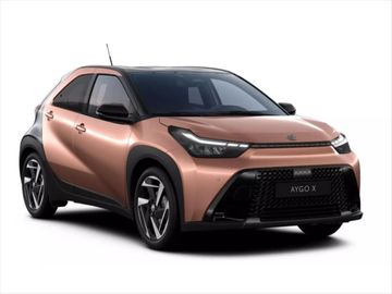 X hybrid Executive