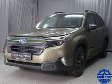 FIELD 4X4 AWD