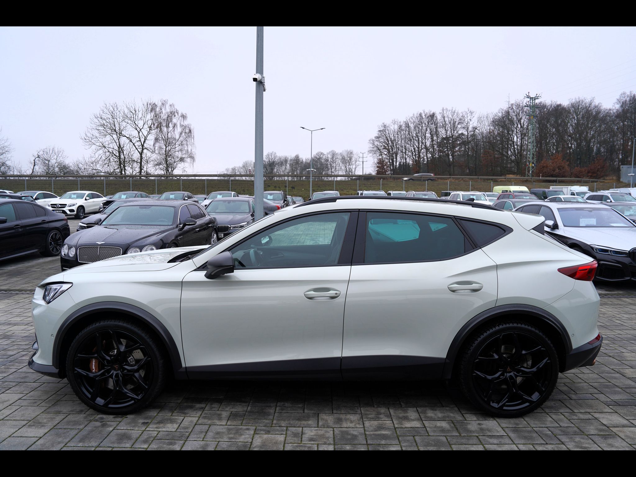 Cupra, VZ5 2.5 TSI DSG 4Drive,Taiga G - fotka 3