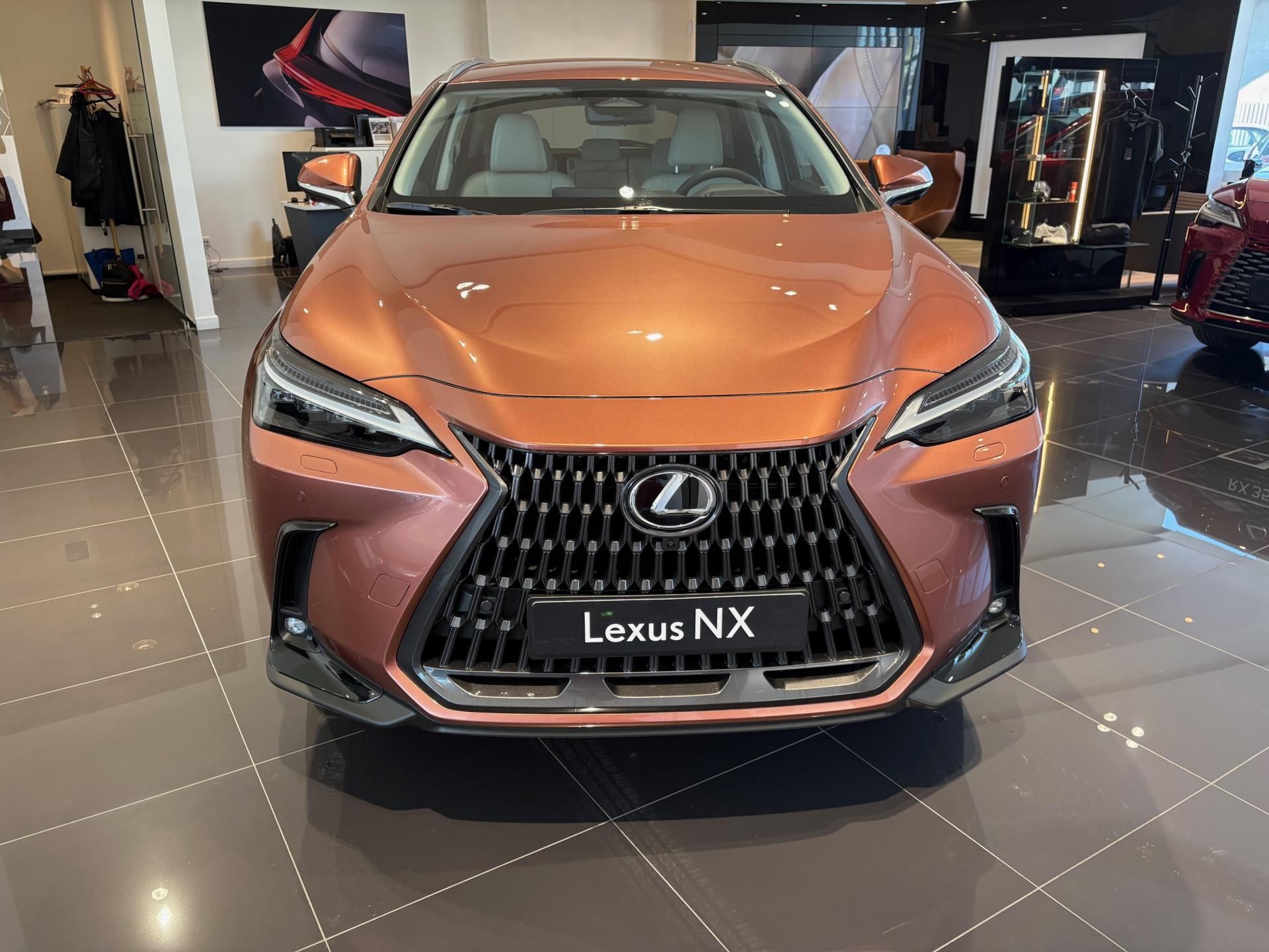 Lexus NX 450h+, LUXURY 4x4 - fotka 2