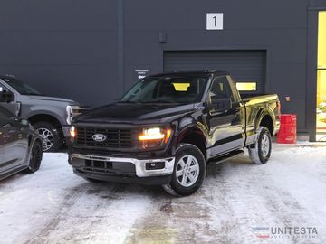 2025 F150 Regular 5,0 V8