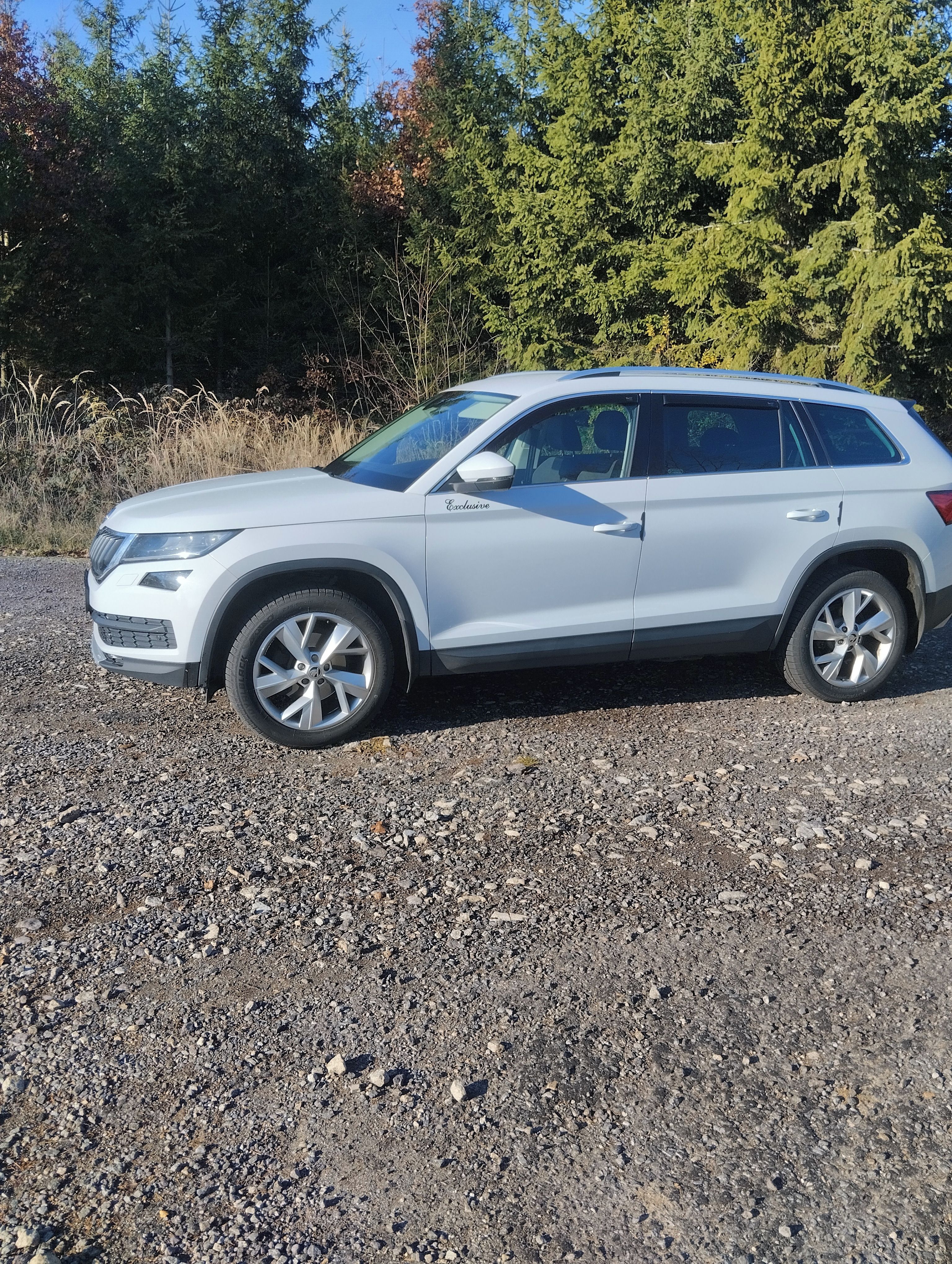 Škoda Kodiaq, Style 2.0 TDI DSG 4X4 Rozvody - fotka 4