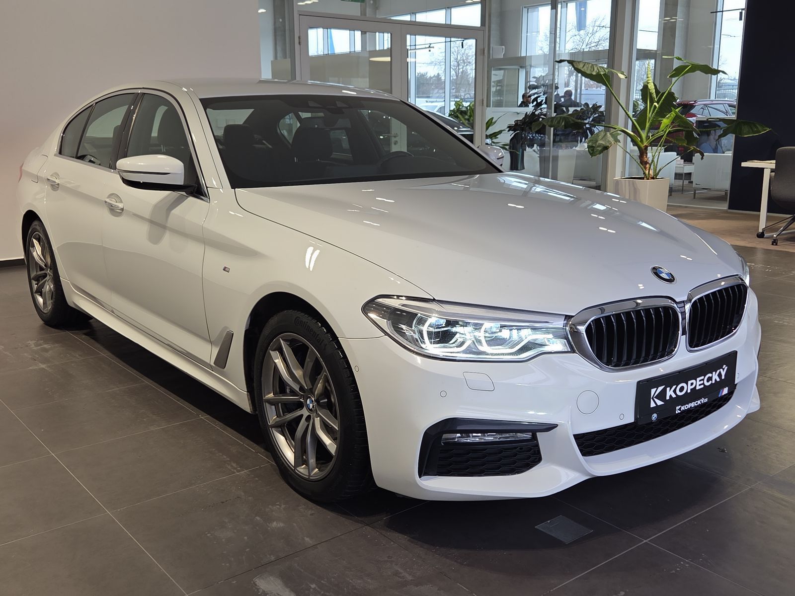 BMW Řada 5, 530d xDrive M Sport - fotka 3