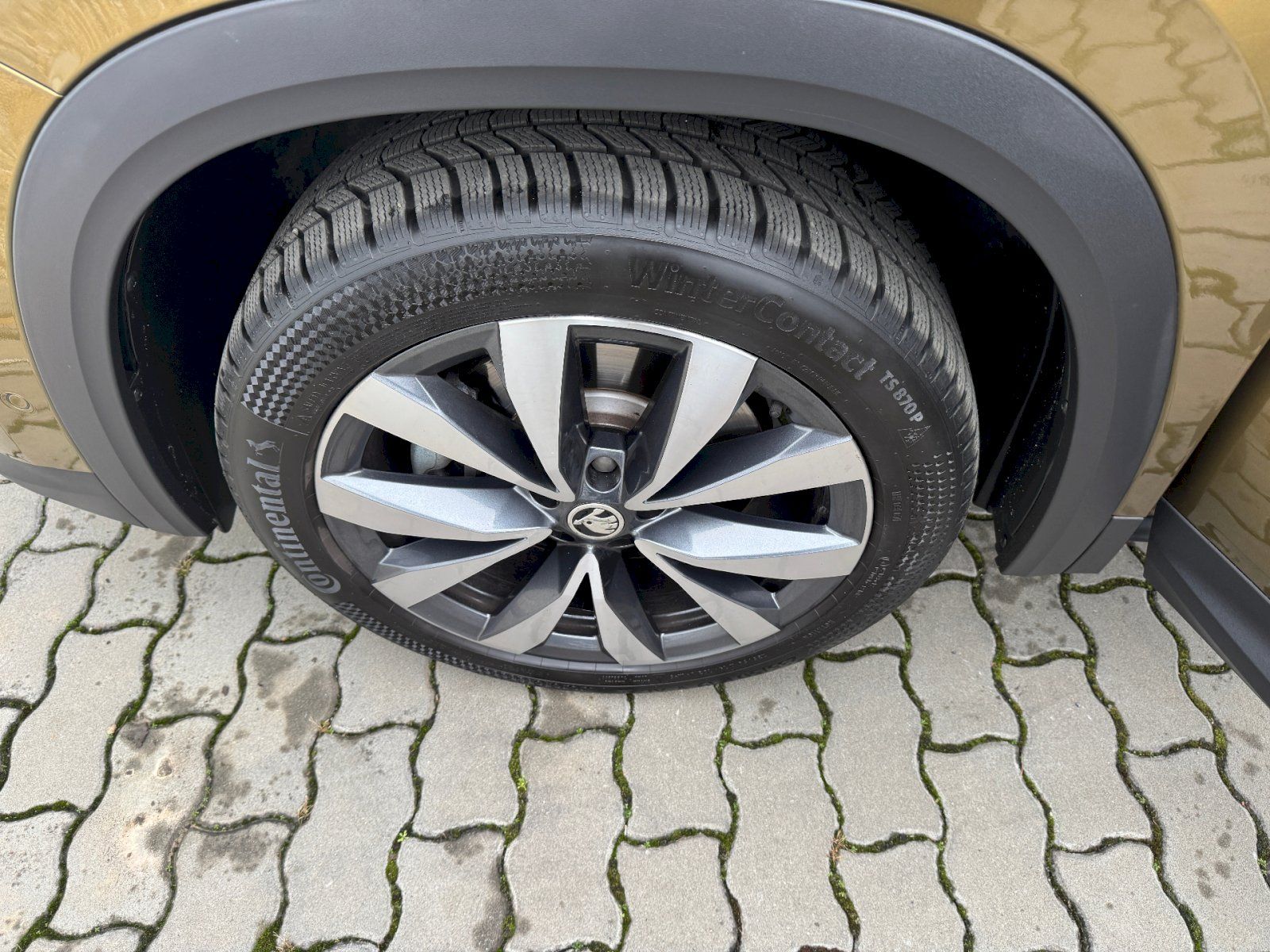 Škoda Kodiaq, KODIAQ Exclusive SELECTION  4X - fotka 6