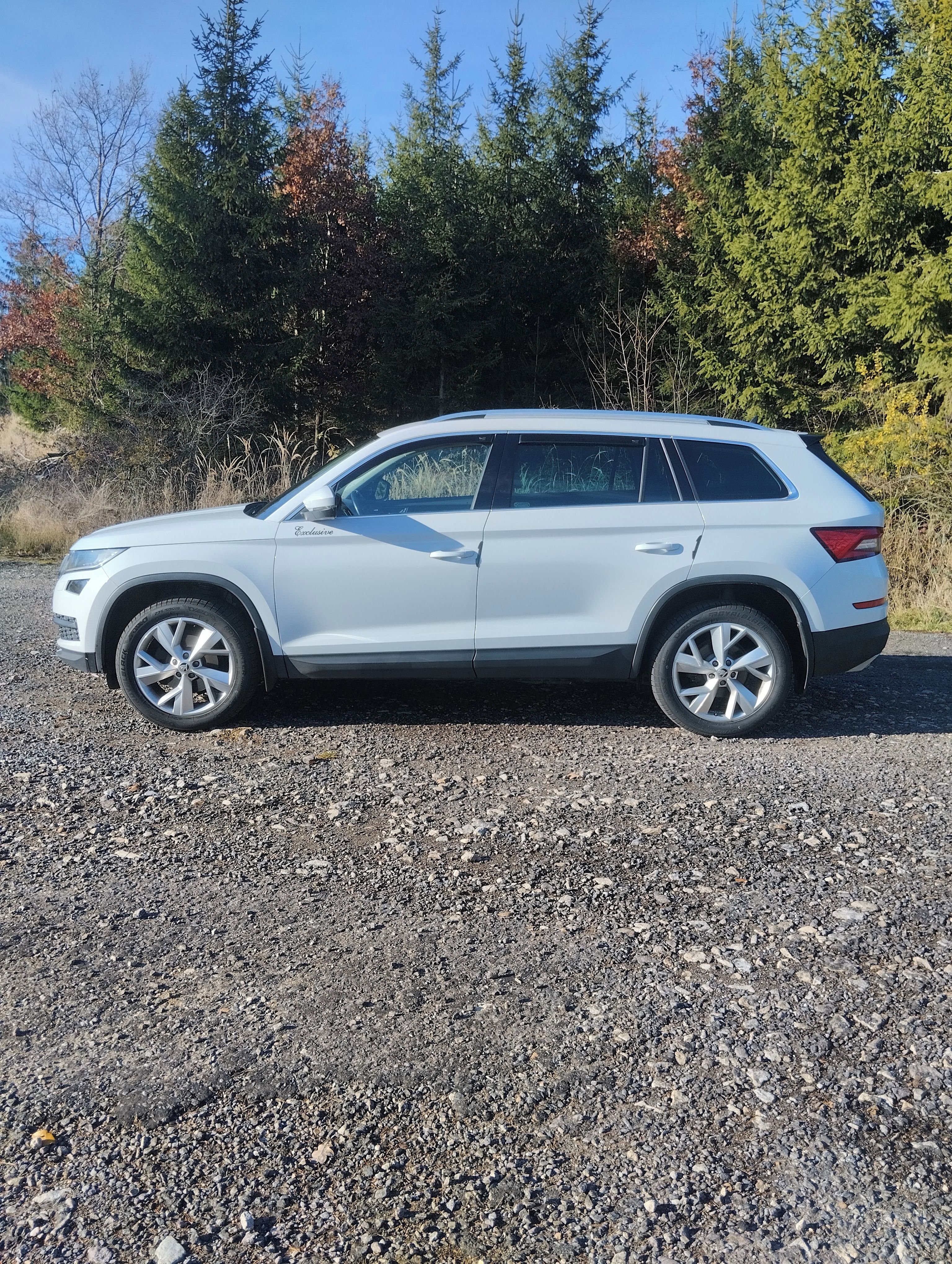 Škoda Kodiaq, Style 2.0 TDI DSG 4X4 Rozvody - fotka 5