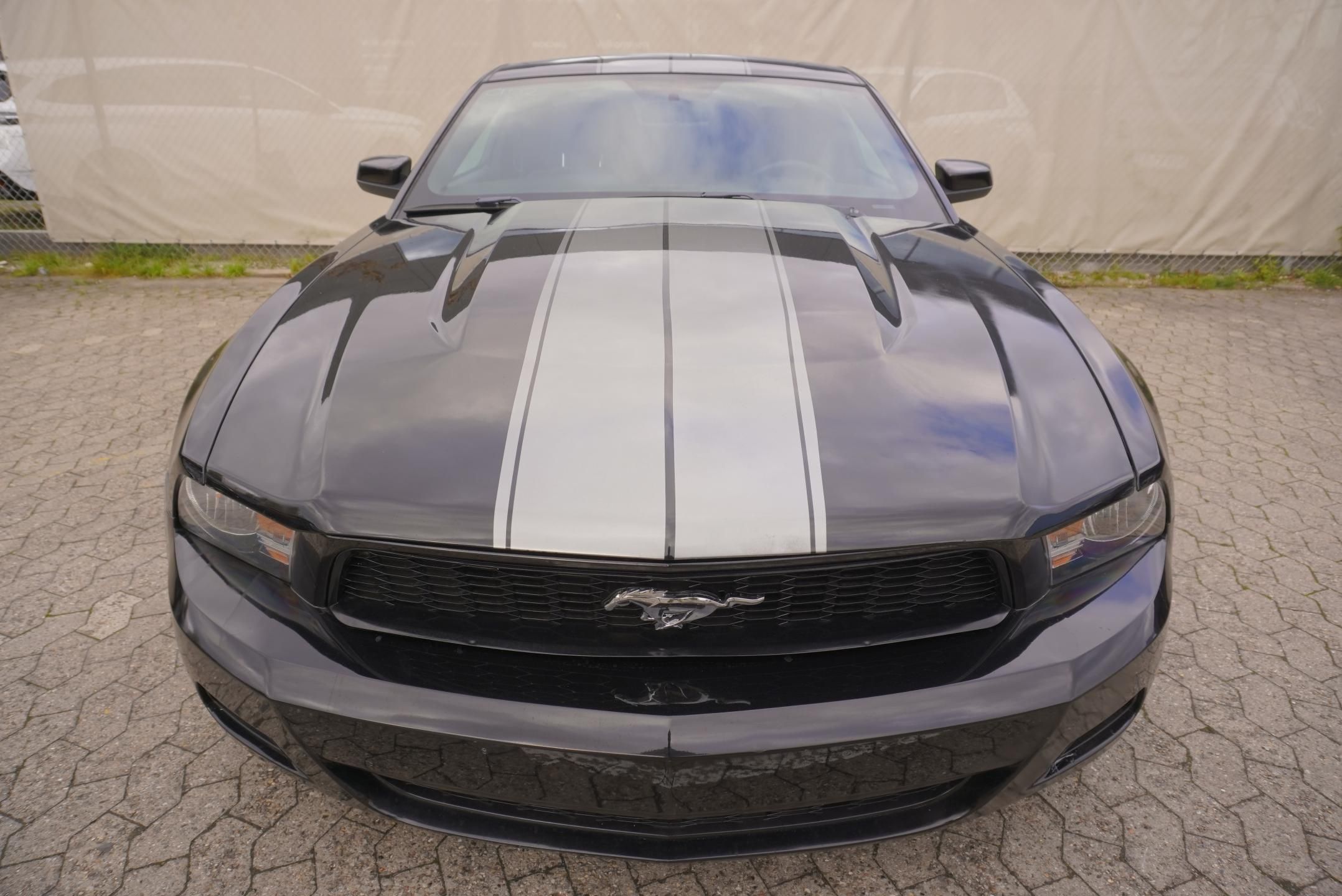 Ford Mustang, MUSTANG  3,7I V6 227 kW - fotka 2