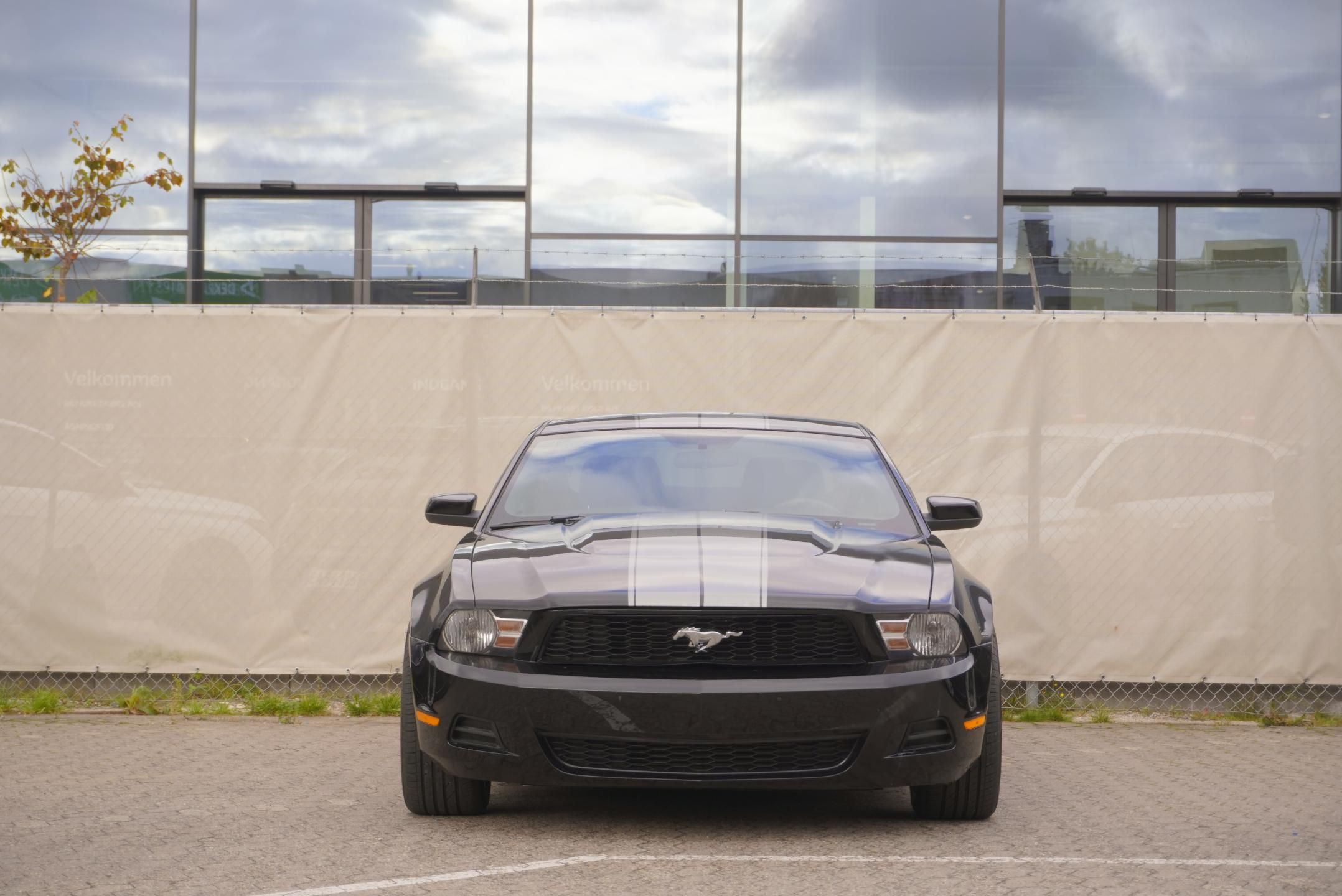 Ford Mustang, MUSTANG  3,7I V6 227 kW - fotka 5