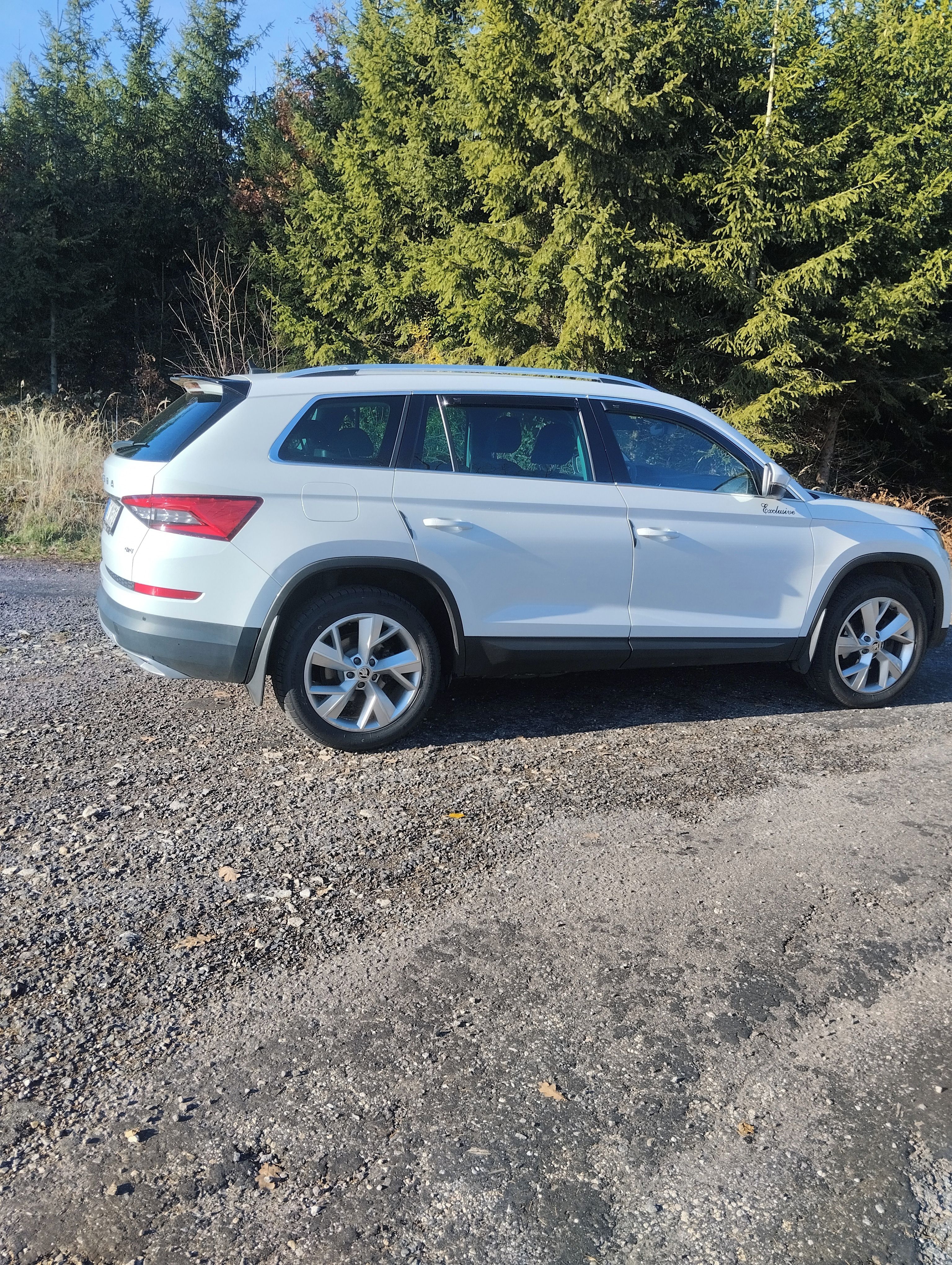 Škoda Kodiaq, Style 2.0 TDI DSG 4X4 Rozvody - fotka 2