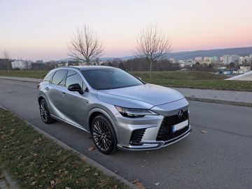 2,4 F Sport Plus, Panorama