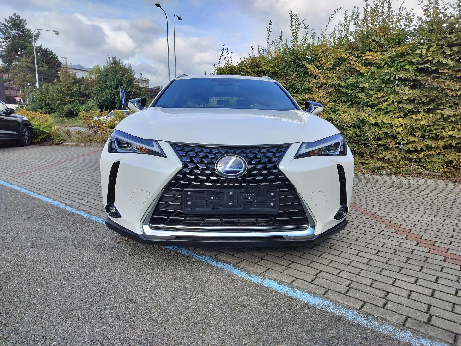 Lexus UX 250h, black-white edition, kůže - fotka 2