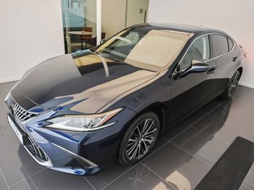300h Business Edition