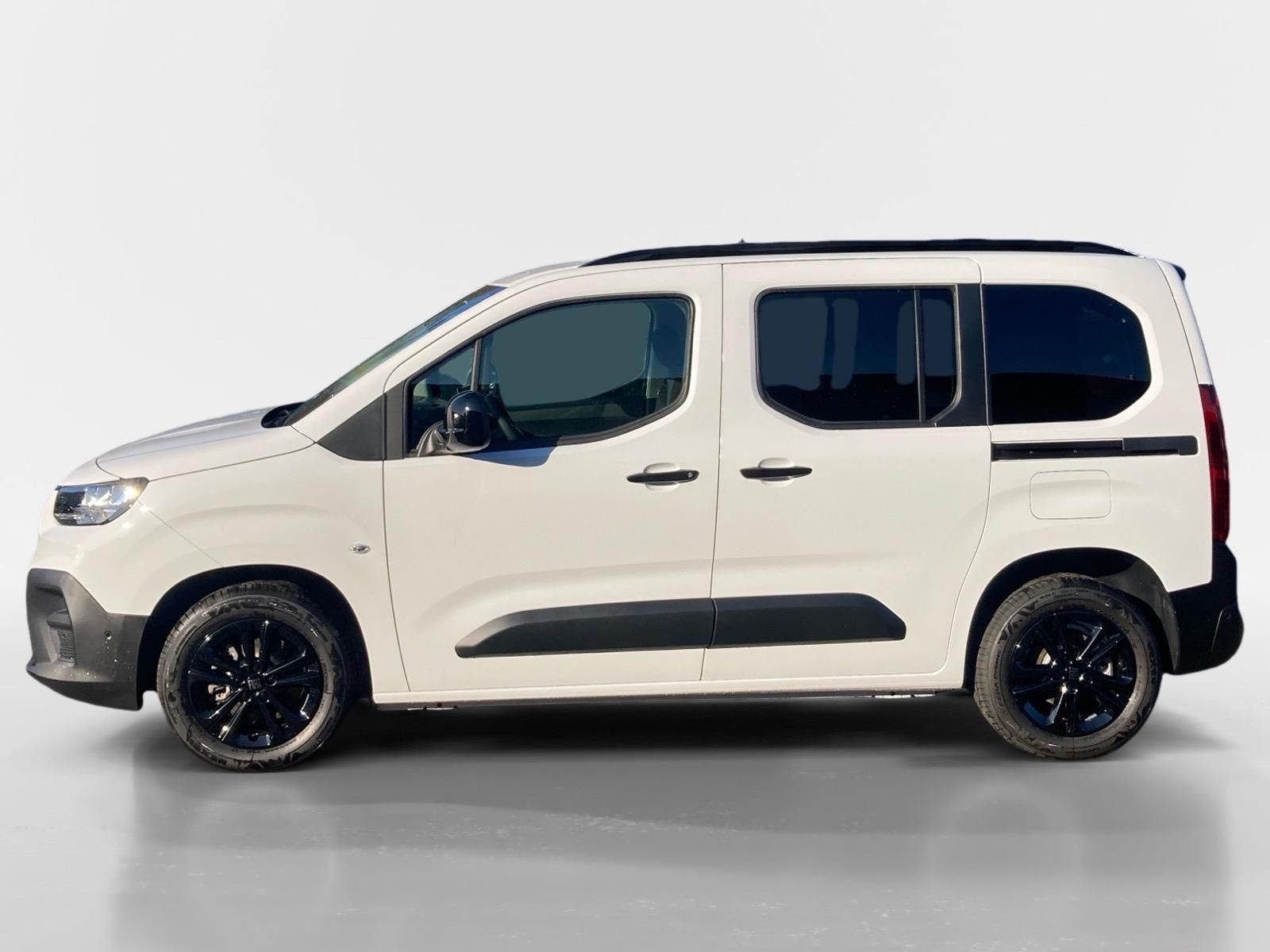 Fiat Dobló, Panorama 1.5 BlueHDI 130k MT6 - fotka 2