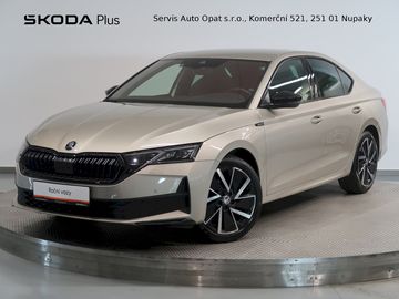 SPORTLINE 2.0TDI 110KW DSG