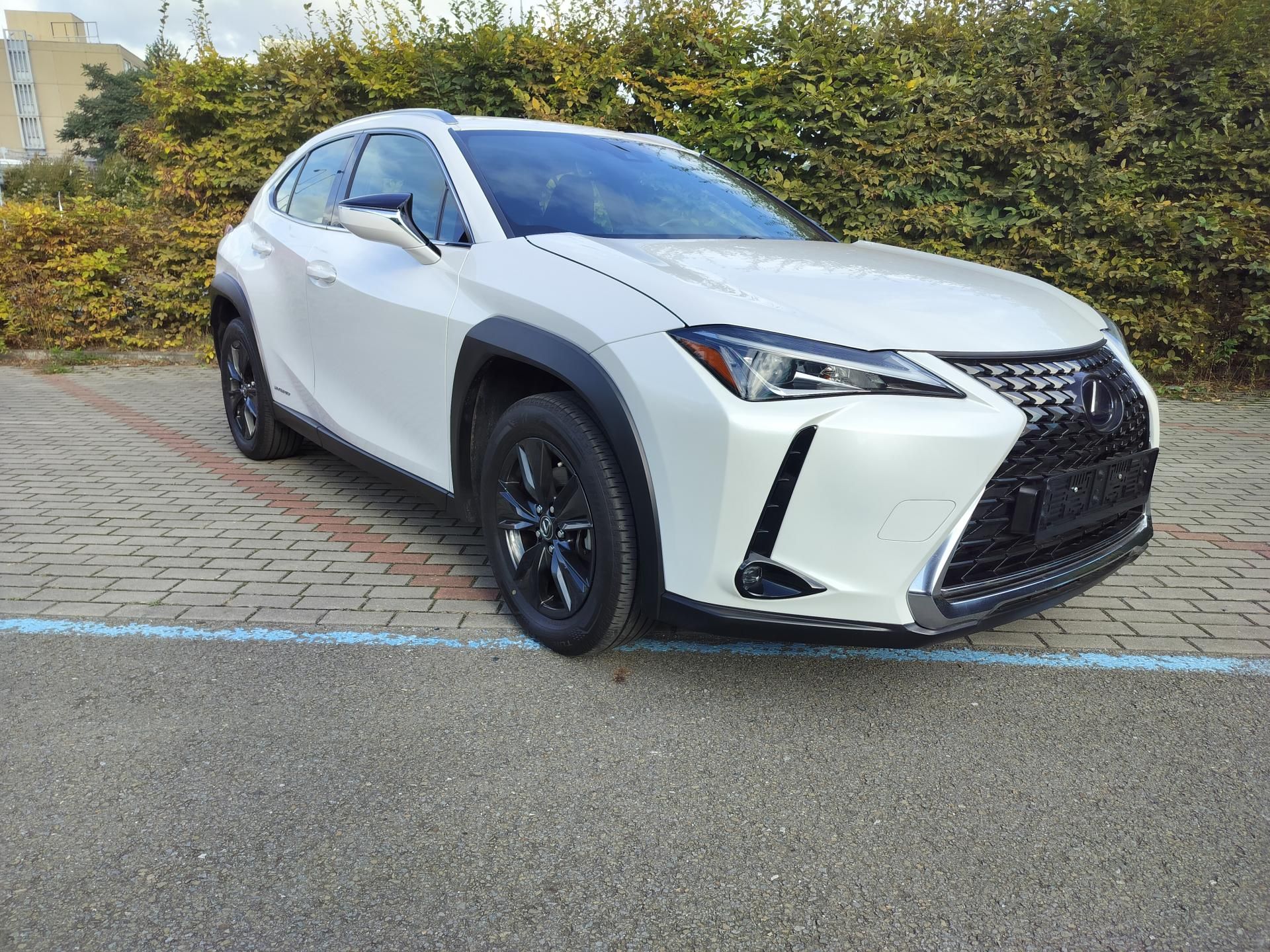Lexus UX 250h, black-white edition, kůže