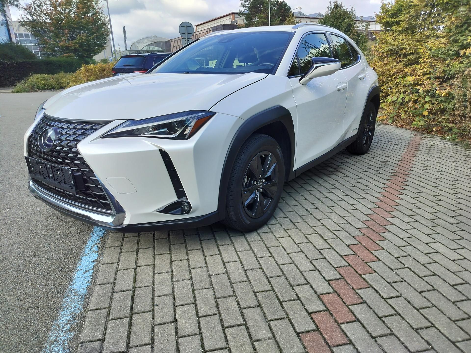 Lexus UX 250h, black-white edition, kůže - fotka 3